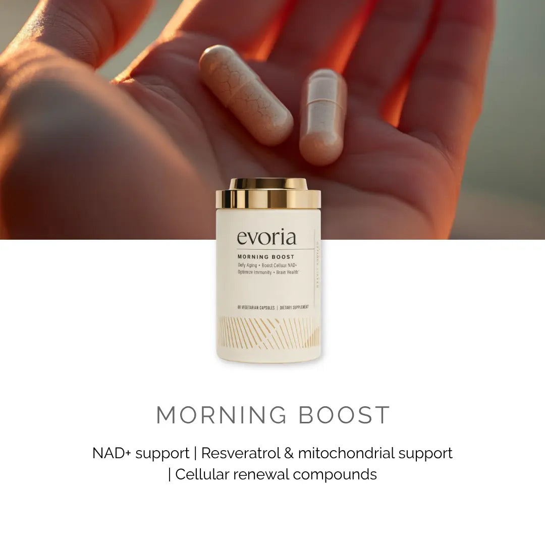 Evoria Morning Boost daily supplement graphic highlighting NAD+ support, resveratrol, and mitochondrial support.