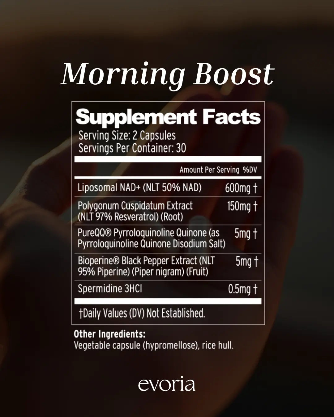 Evoria Morning Boost supplement facts label showing 600mg Liposomal NAD+, 150mg Resveratrol, 5mg PureQQ per serving