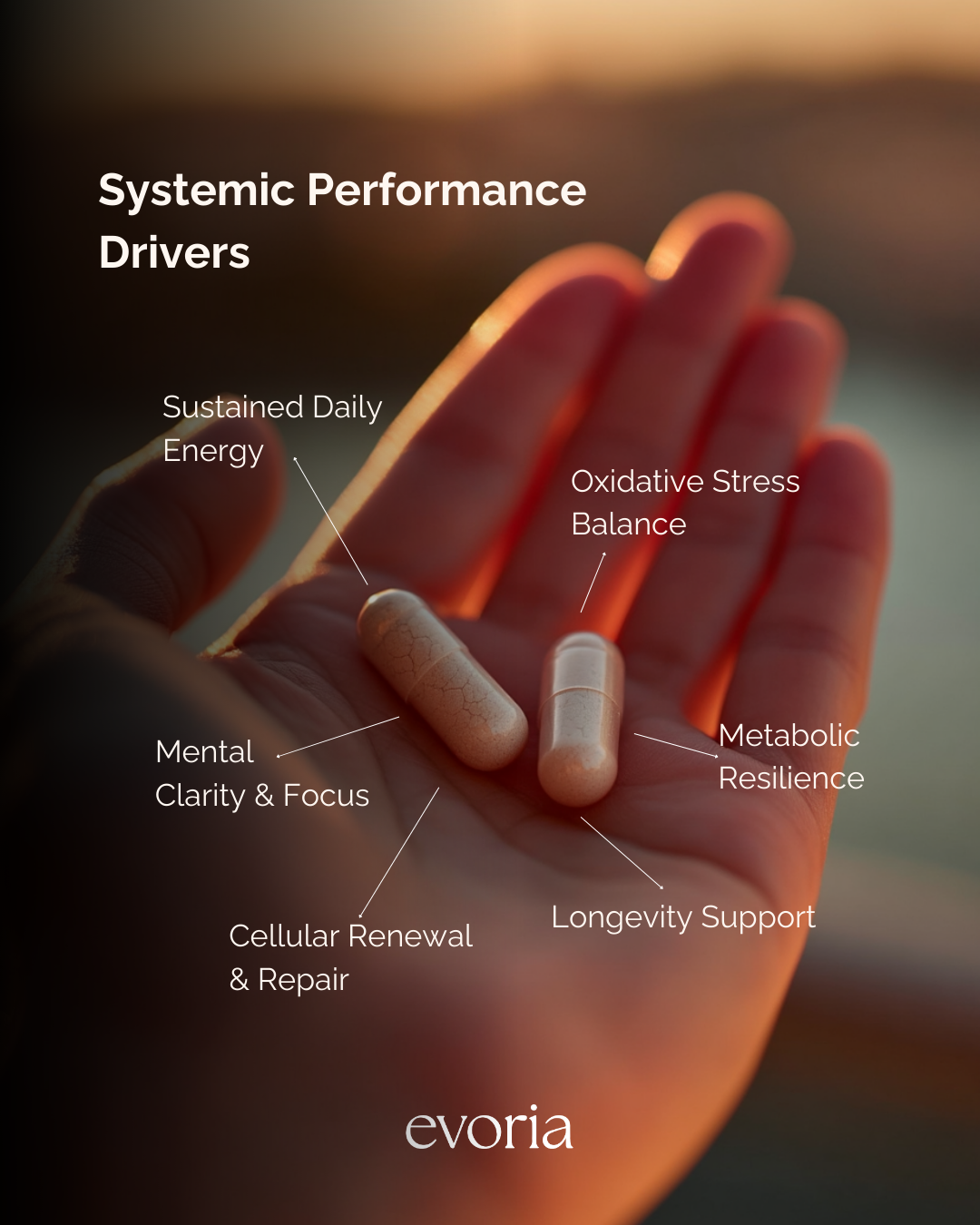 Hand holding Evoria Morning Boost capsules with benefit callouts for sustained energy, mental clarity, and cellular renewal