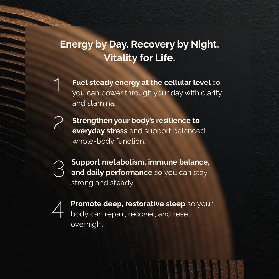Evoria supplement system benefits list outlining cellular energy, stress resilience, immune support, and restorative sleep.