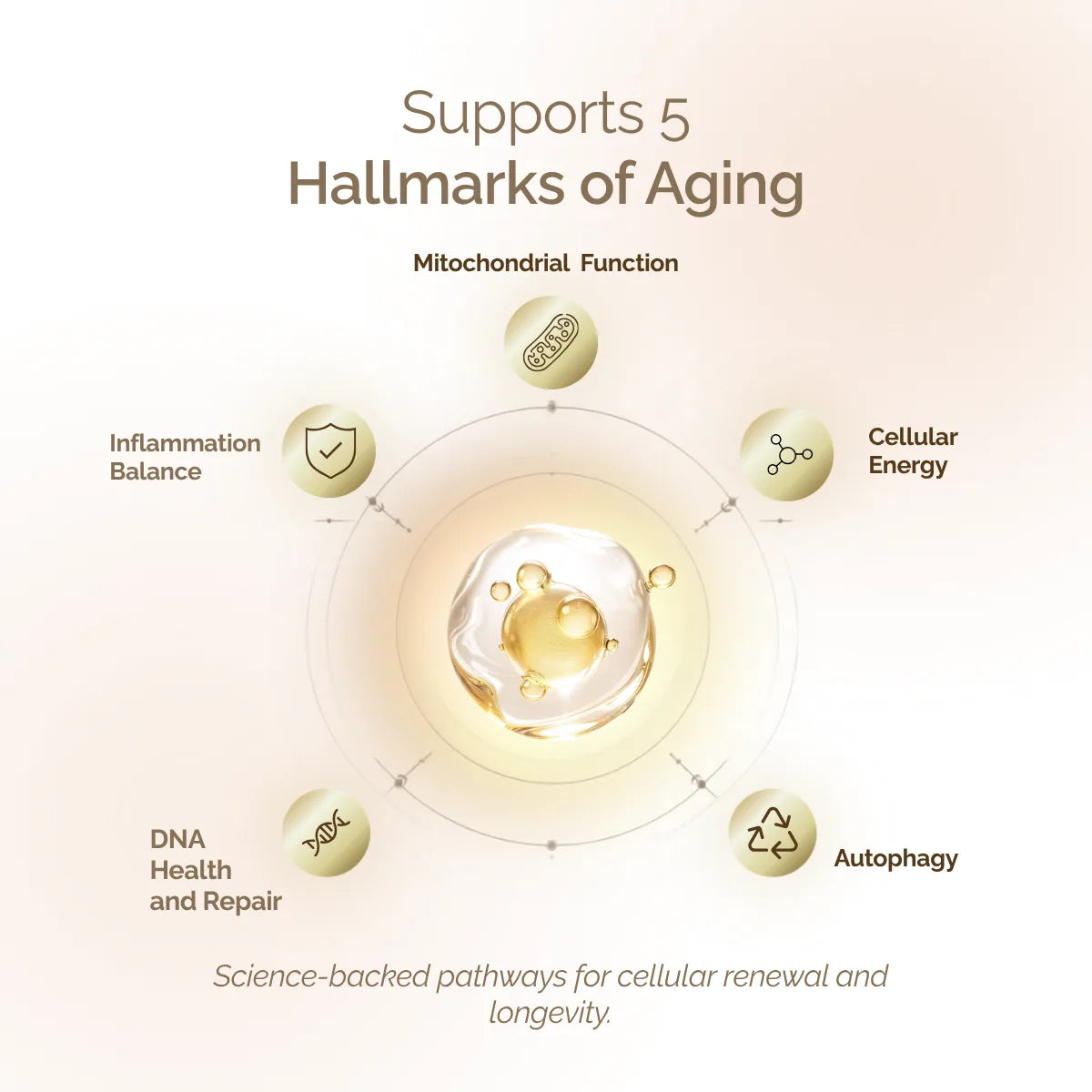 Total Longevity