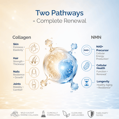 Collagen Renewal