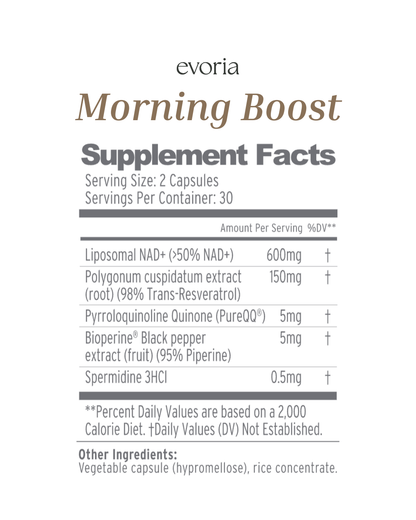 Evoria Total Wellness Kit