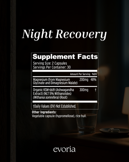 Night Recovery
