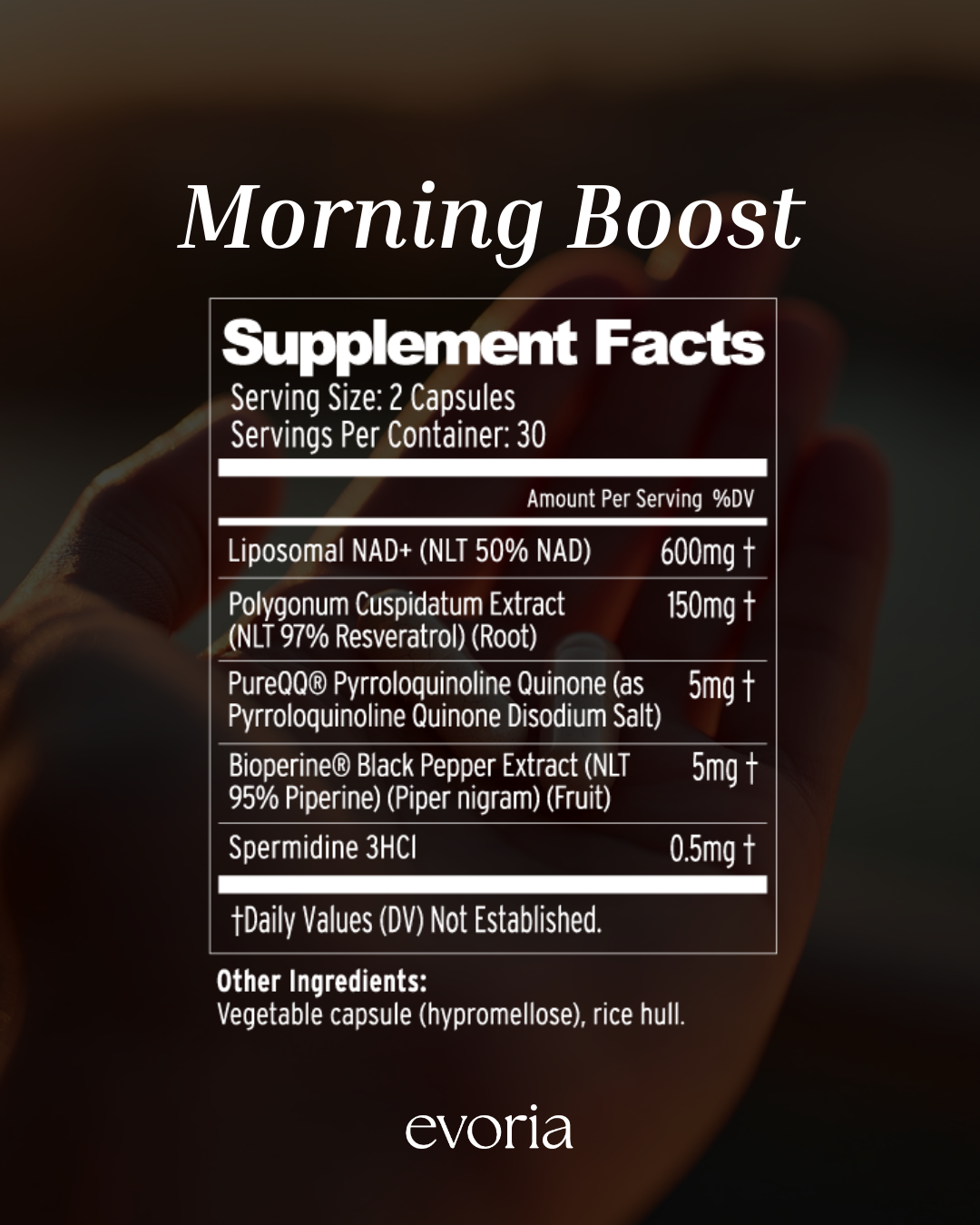 Morning Boost