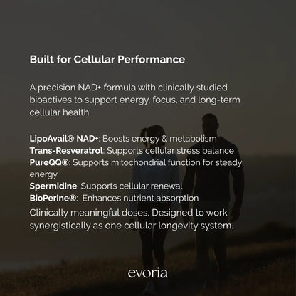 Evoria Morning Boost ingredient graphic highlighting LipoAvail NAD+, Trans-Resveratrol, PureQQ, Spermidine, and BioPerine.