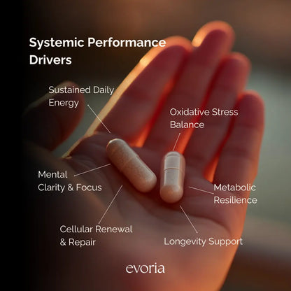 Evoria supplement capsules graphic highlighting targeted support for sustained daily energy, mental clarity, and metabolic resilience.