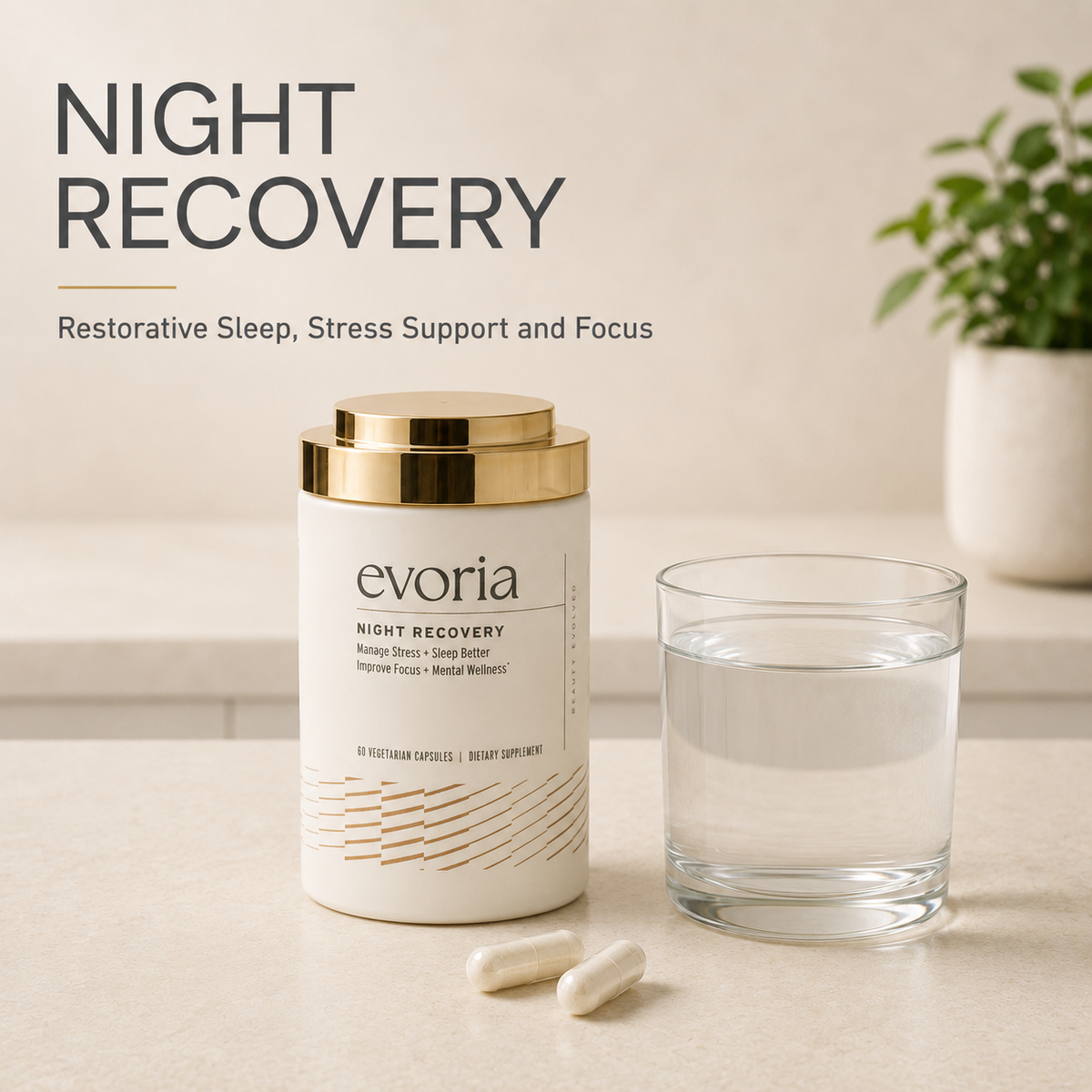 WELLNESS SYSTEM