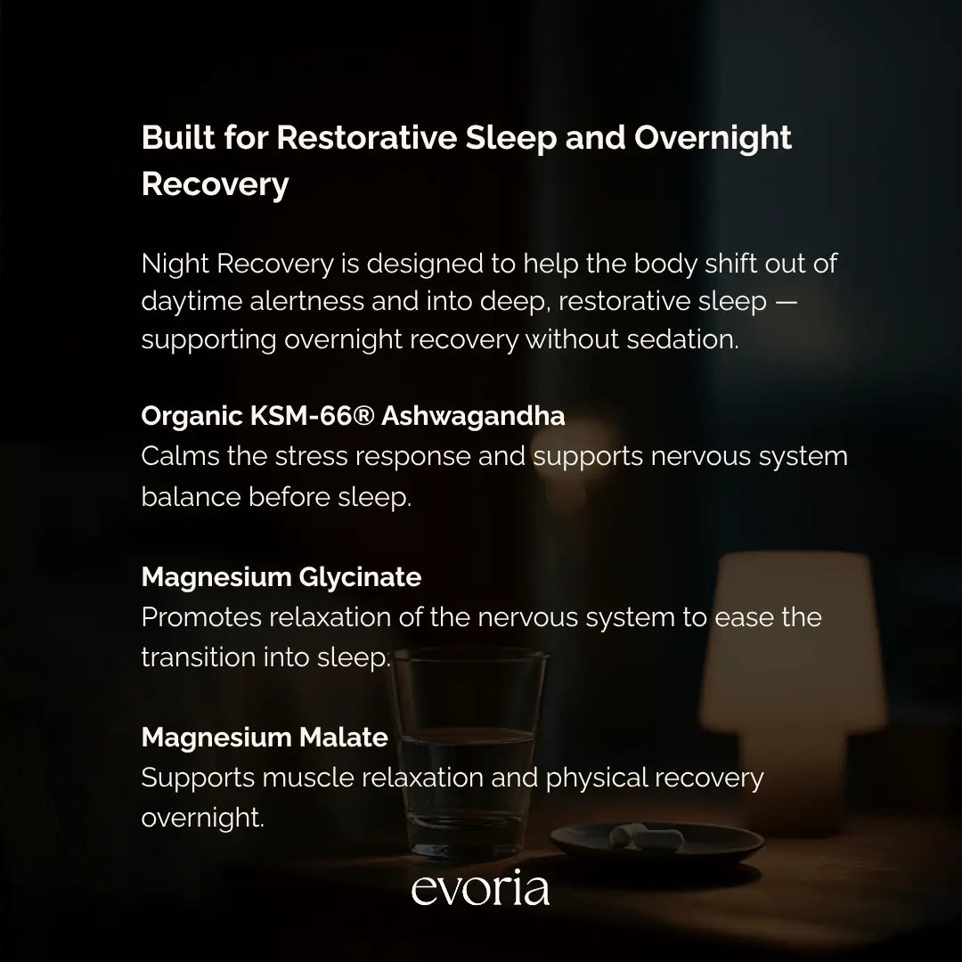 Evoria Night Recovery ingredient graphic featuring Organic KSM-66 Ashwagandha, Magnesium Glycinate, and Magnesium Malate.