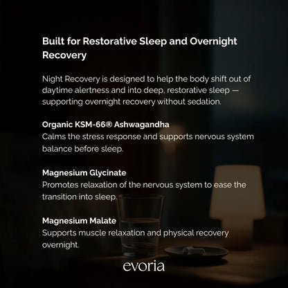 Evoria Night Recovery ingredient graphic featuring Organic KSM-66 Ashwagandha, Magnesium Glycinate, and Magnesium Malate.