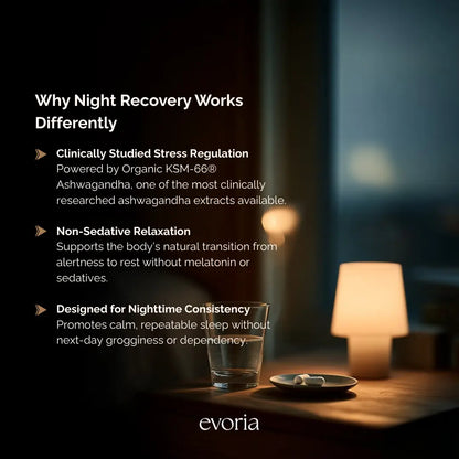 Evoria Night Recovery benefits graphic highlighting Organic KSM-66 Ashwagandha for non-sedative relaxation and consistent sleep without melatonin.