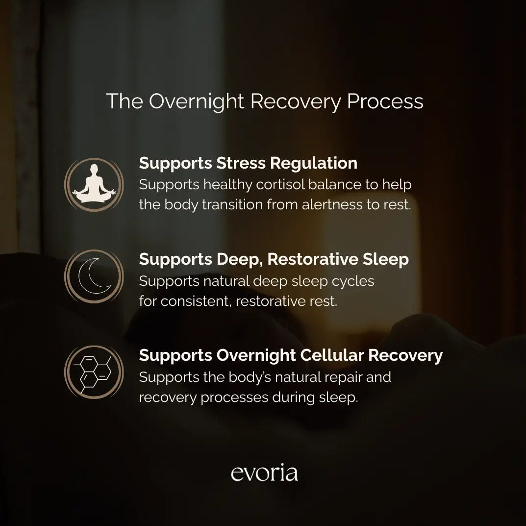 Evoria sleep supplement graphic highlighting support for stress regulation, restorative sleep cycles, and cellular recovery.