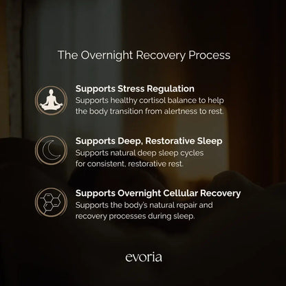 Evoria sleep supplement graphic highlighting support for stress regulation, restorative sleep cycles, and cellular recovery.