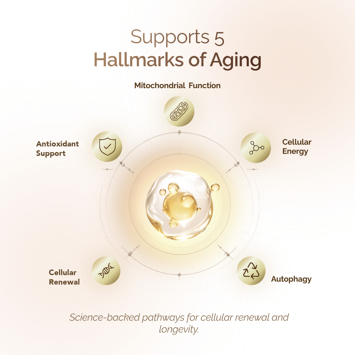 Total Longevity