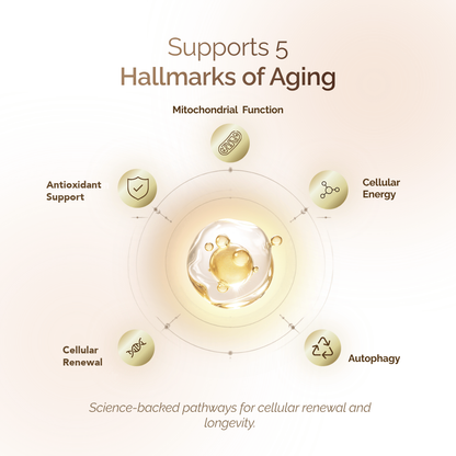 Total Longevity