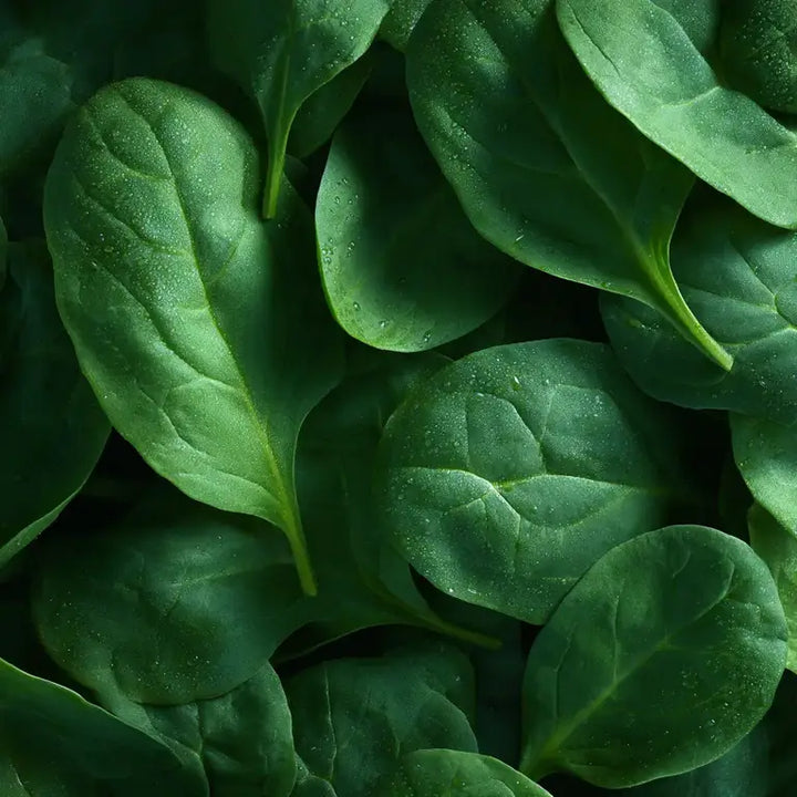 Quatrefolic®